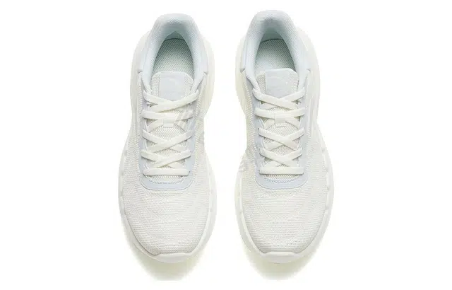 Anta