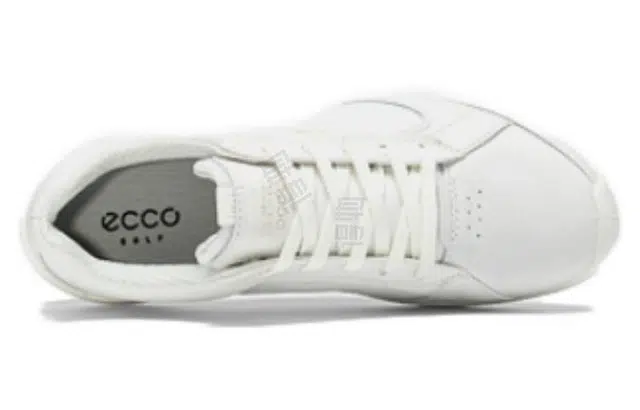 ecco