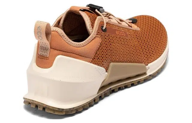 ecco 2.0