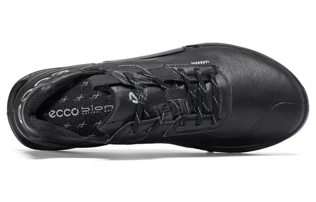 ecco 2.1