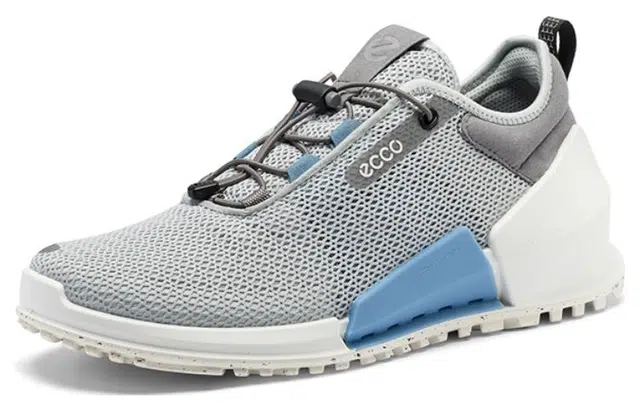 ecco 2.0