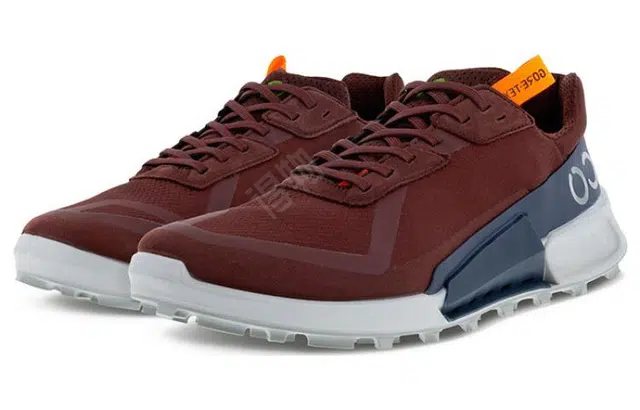 ecco 2.1