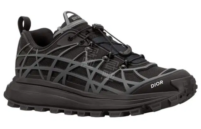 DIOR B31
