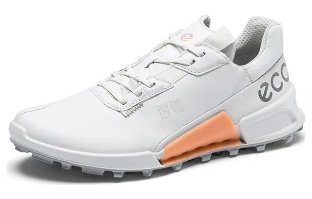 ecco 2.1