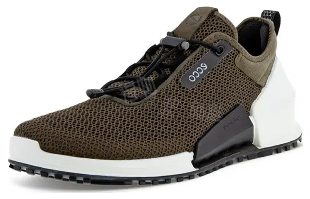 ecco 2.0