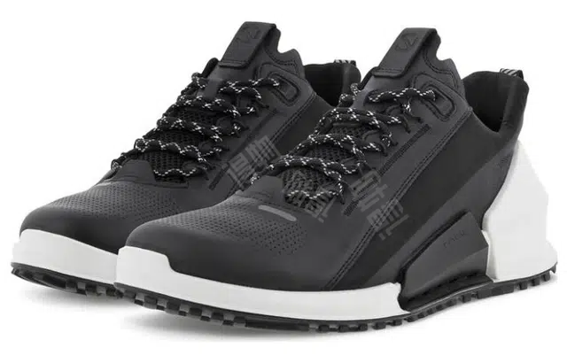 ecco 2.0