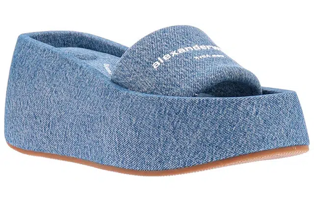 alexander wang taji