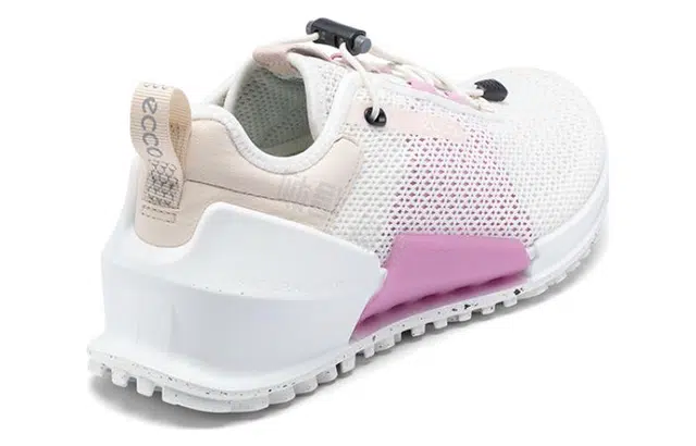 ecco 2.0