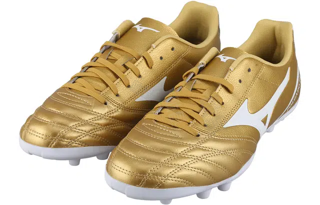 Mizuno Kl AG