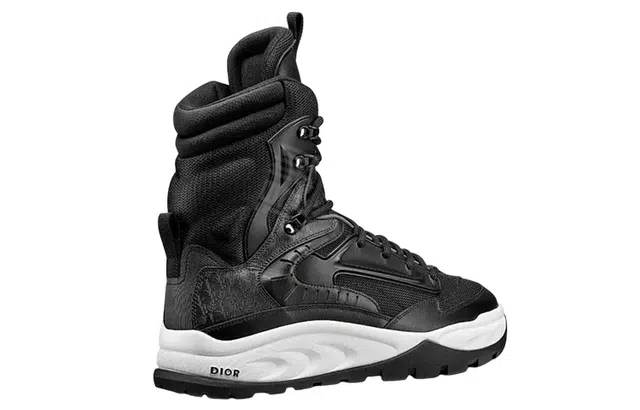 DIOR Snow