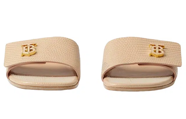 Burberry Monogram