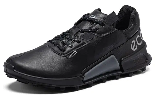 ecco 2.1