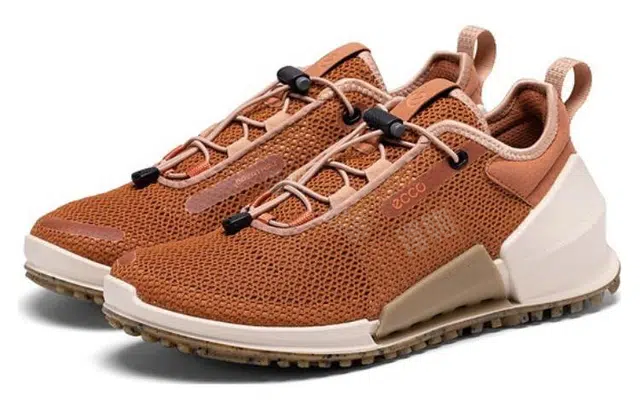 ecco 2.0