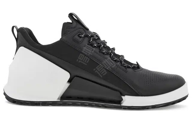 ecco 2.0