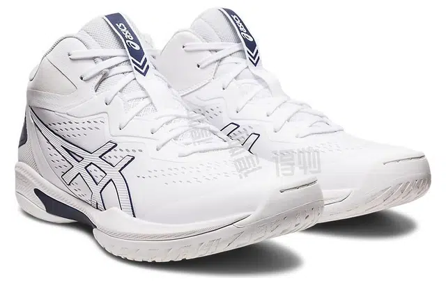 Asics Gel-Hoop V15