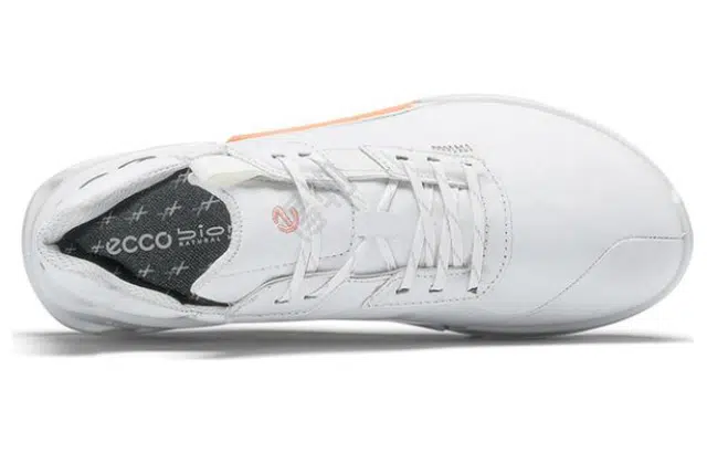 ecco 2.1