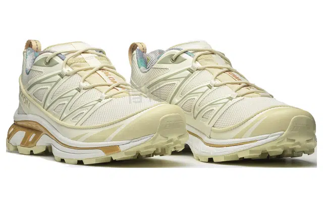 SALOMON XT-6 Expanse Cottage Core