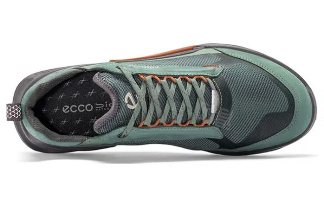 ecco 2.1
