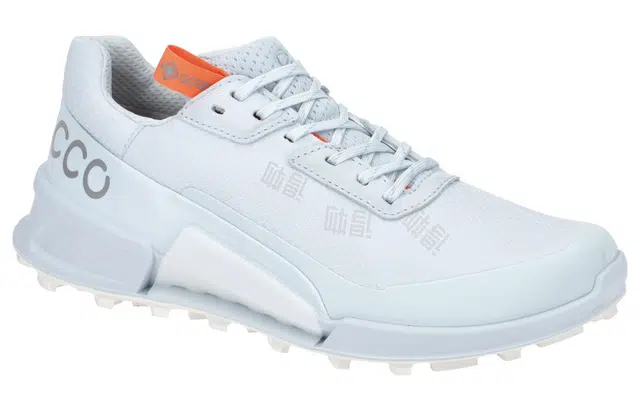 ecco 2.1