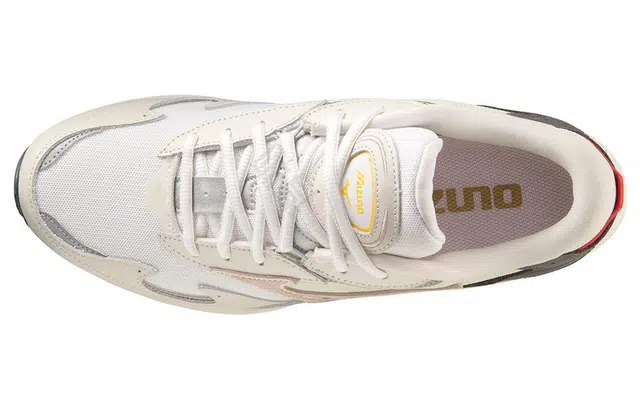 Mizuno Wave Rider