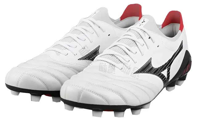 Mizuno