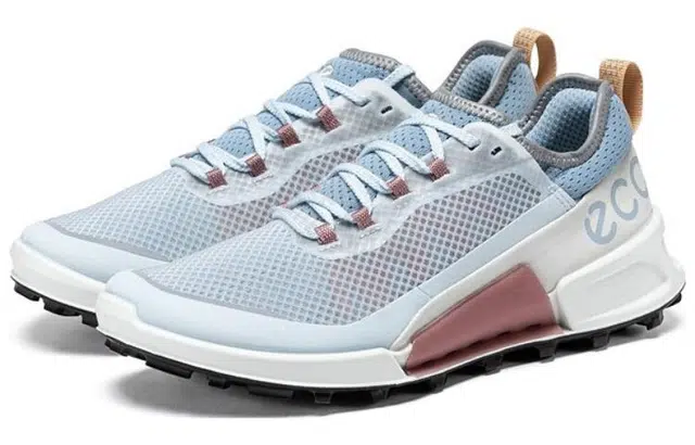 ecco 2.1
