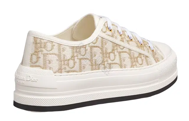 DIOR Walk'n'Dior Oblique
