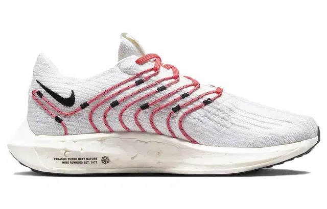 Nike Pegasus Turbo Next Nature