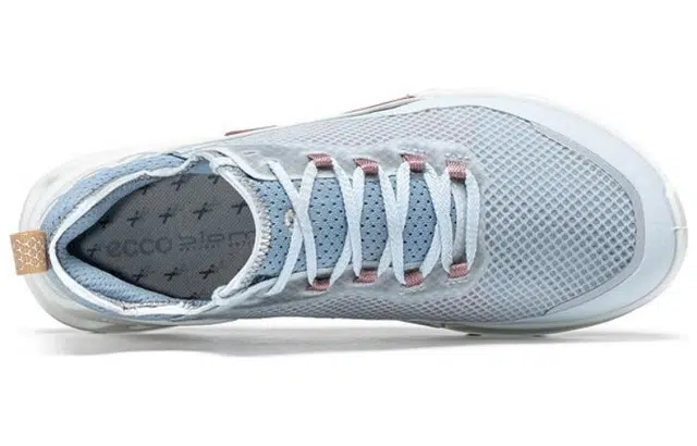 ecco 2.1