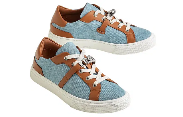 HERMES Day