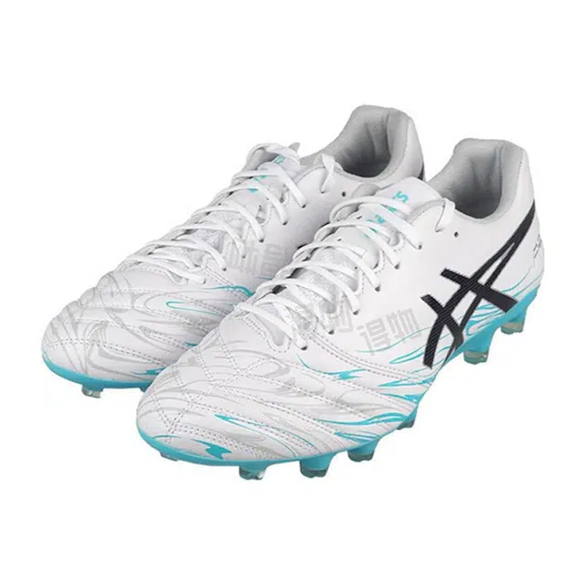 Asics HG