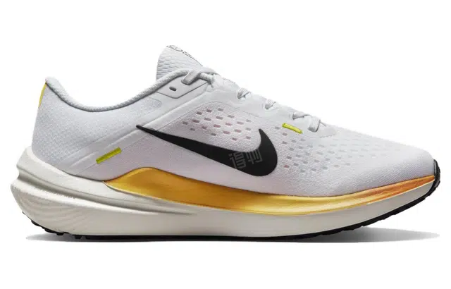 Nike Air Winflo 10