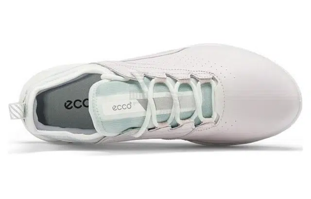 ecco