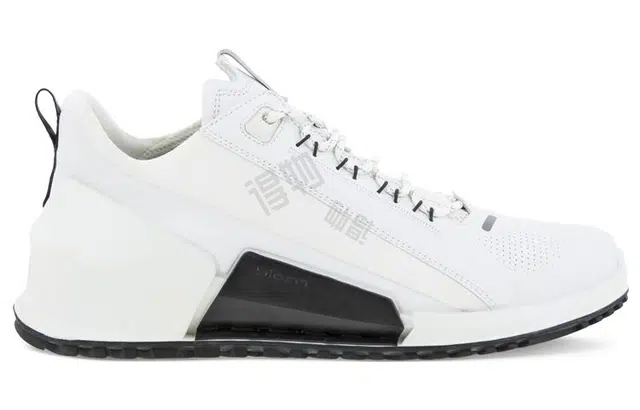 ecco 2.0
