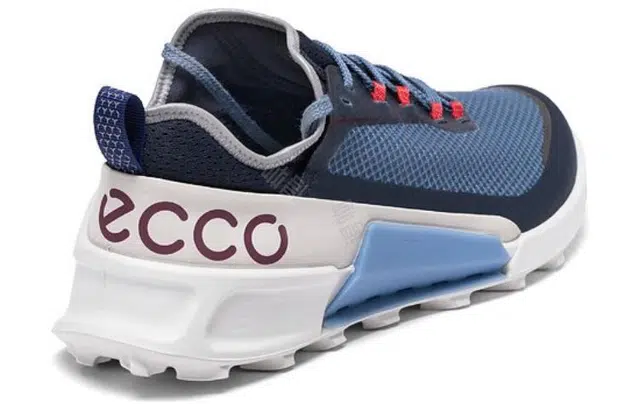 ecco 2.1