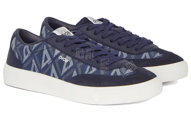 DIOR B101