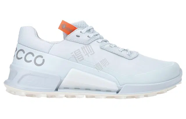 ecco 2.1
