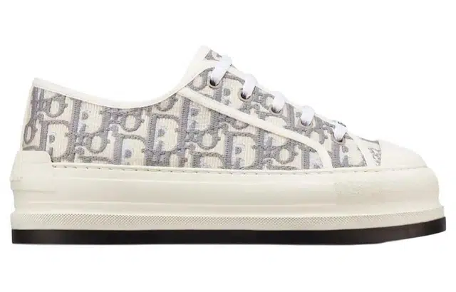 DIOR Walk'n'Dior Oblique