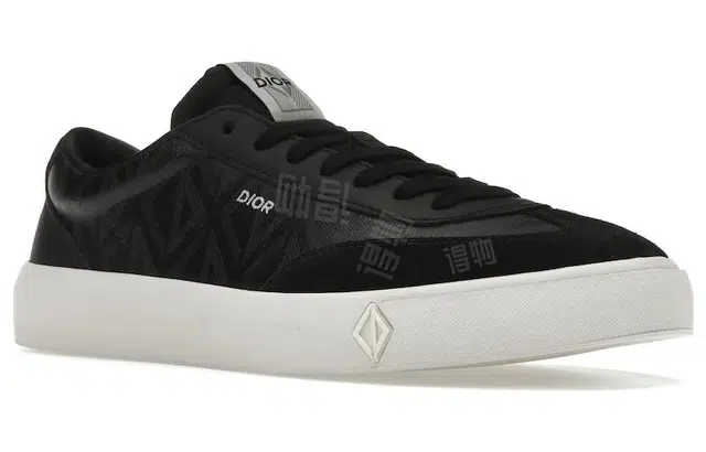 DIOR B101