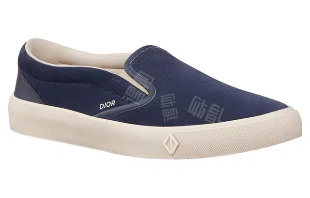 DIOR B101