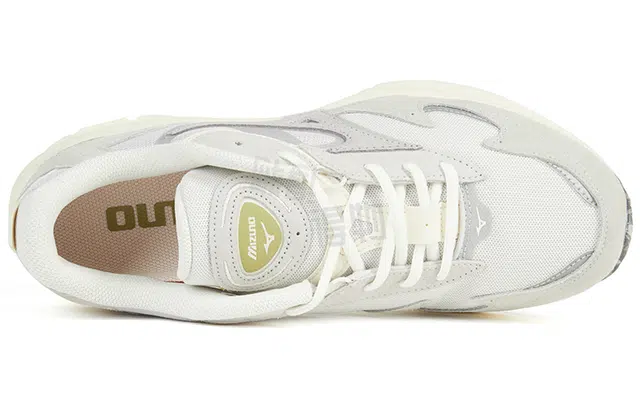 Mizuno Wave Rider