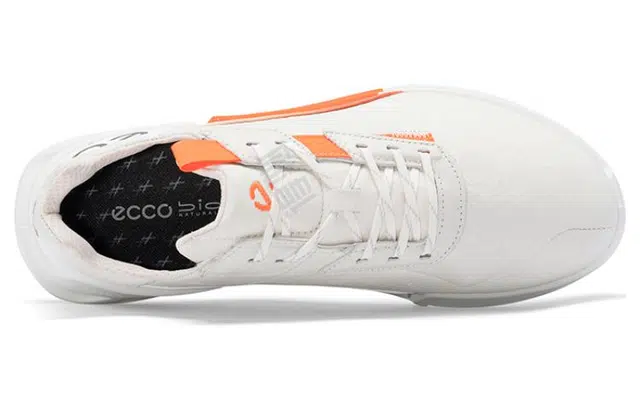 ecco 2.1