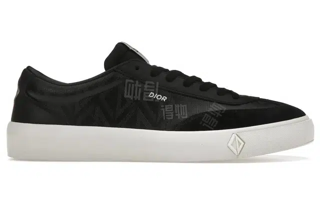 DIOR B101