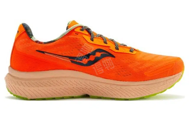 Saucony Triumph 19 19
