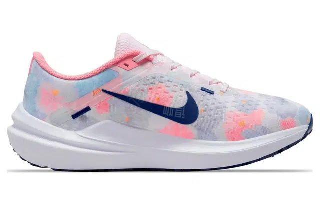 Nike Air Winflo 10