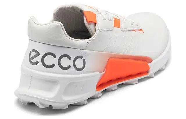 ecco 2.1