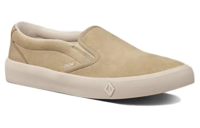 DIOR B101