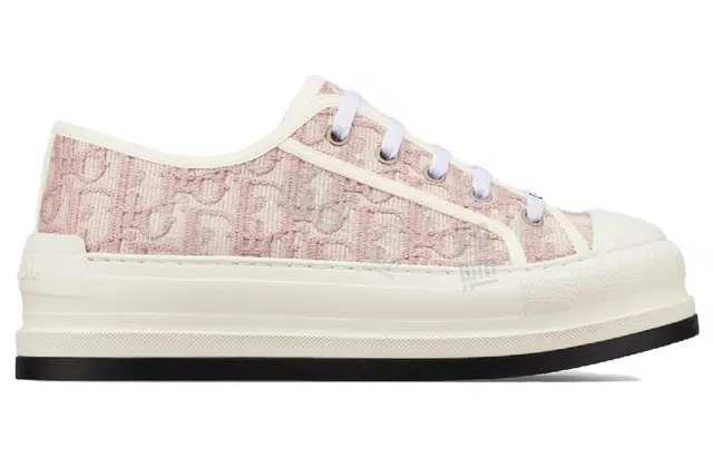 DIOR Walk'n'Dior Oblique