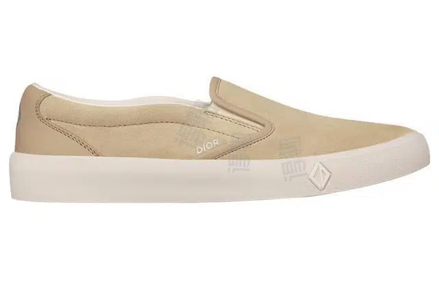 DIOR B101