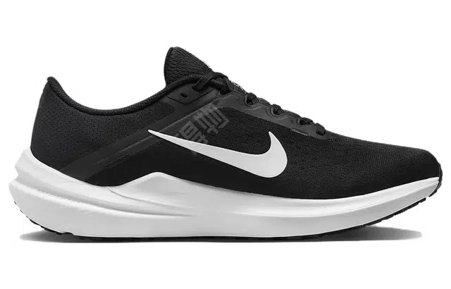 Nike Air Winflo 10